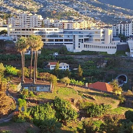 Magnolia Apartment Luxury Apt Great Views Funchal  Eksteriør bilde